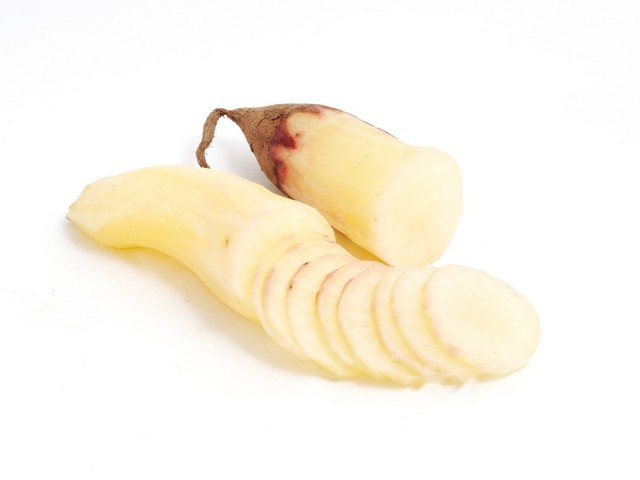 Yacon