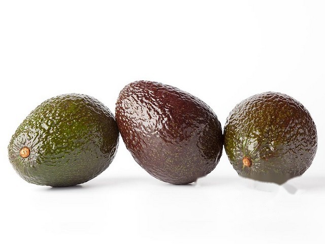 Avocado maat 18 per doos