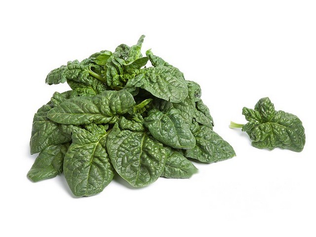 Spinazie wild geplukt & gewassen zak 1kg