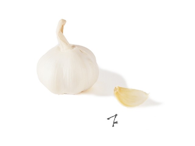 Knoflook Bio