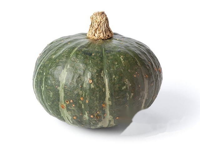 Pompoen Hokkaido groen Bio