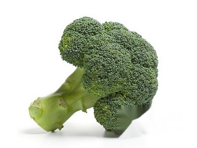 Broccoli Gold de Legume Bio- Nederland