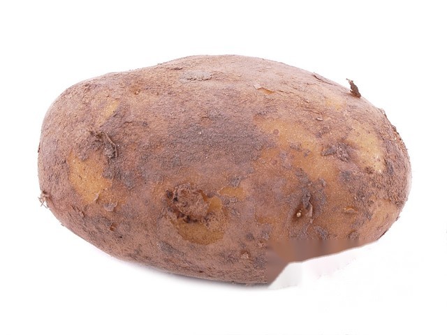 Connect Gold de Legume Bio