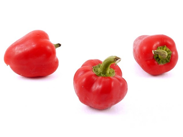 Paprika rood mini (tinkerbel)