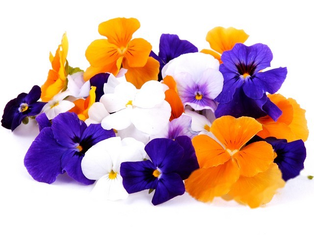 Violen mix