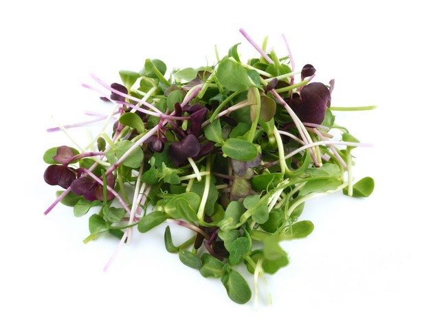 Micro's basic mix schaal a 200 gram