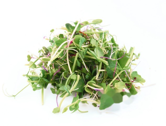 Micro's Frilly mix schaal a 200 gram