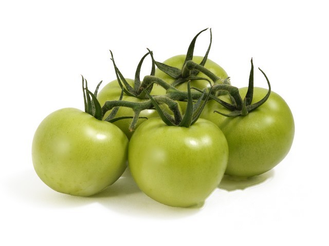 Tomaten aan de tros groen onrijp