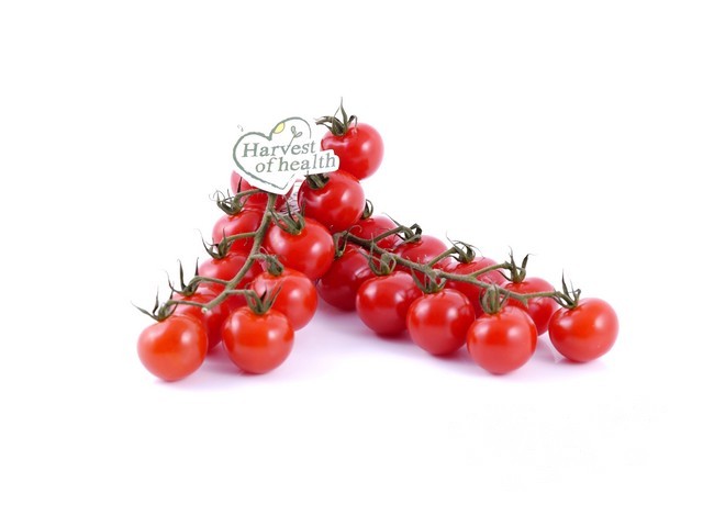 Tomaten Cherry aan de tros