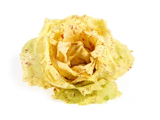 Castelfranco sla