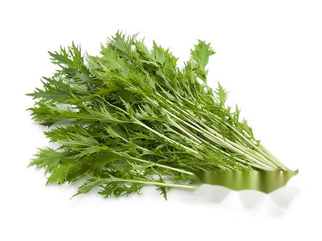 Mizuna groen per 125gr