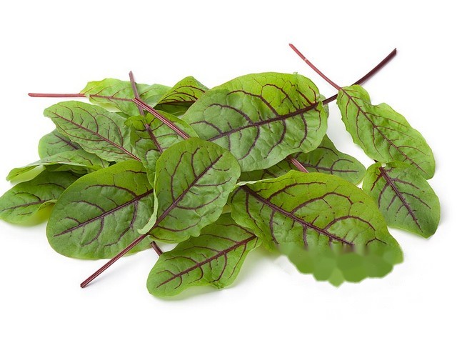 Red chard 125gr