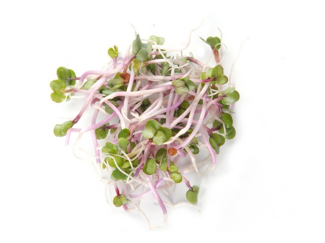 China rosa kiemen per 100gram
