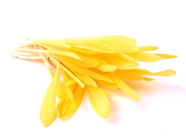 Popcorn Shoots