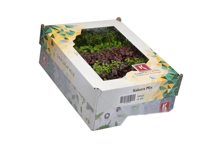 Sakura mix cress doos a 18 stuks
