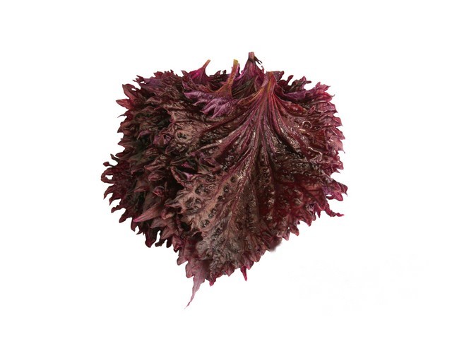 Shiso Rood Leaves