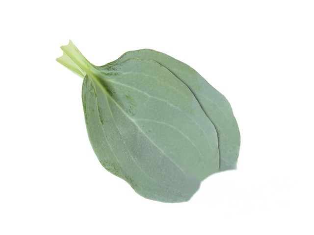 Oesterblaadjes