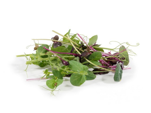 Cress mix 150 gram