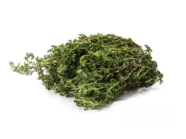 Tijm