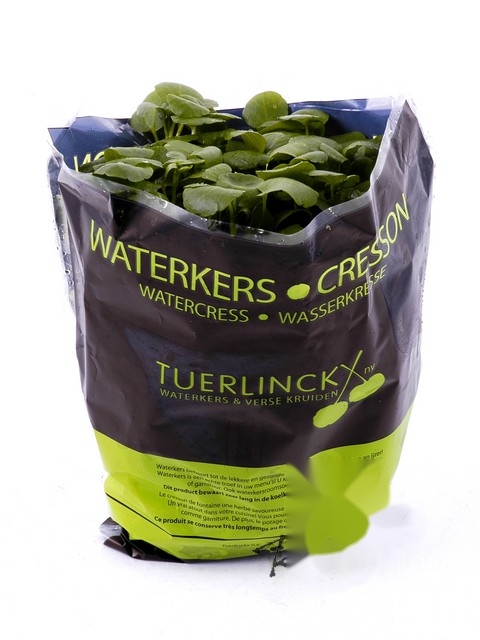 Waterkers fijn