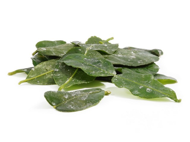 Djeruk perut 100 gram diepvries