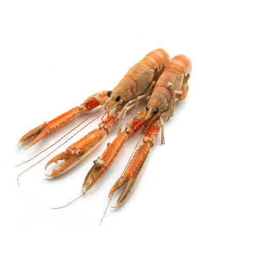 Langoustines 5/7