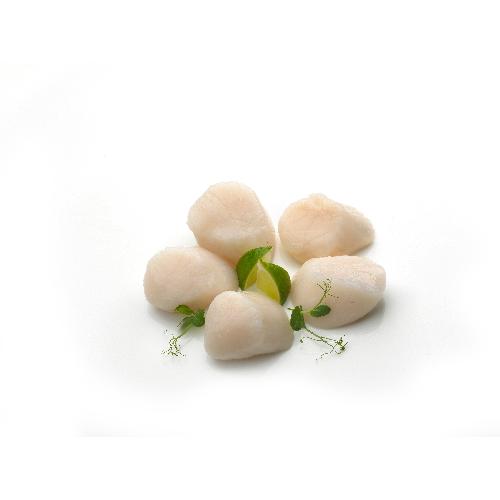 Coquillevlees droog