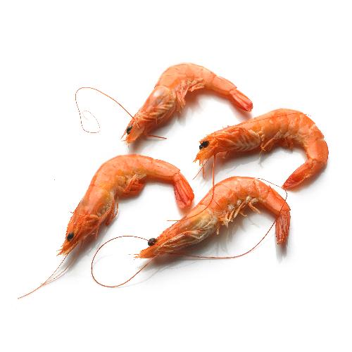 Gamba's vers gekookt