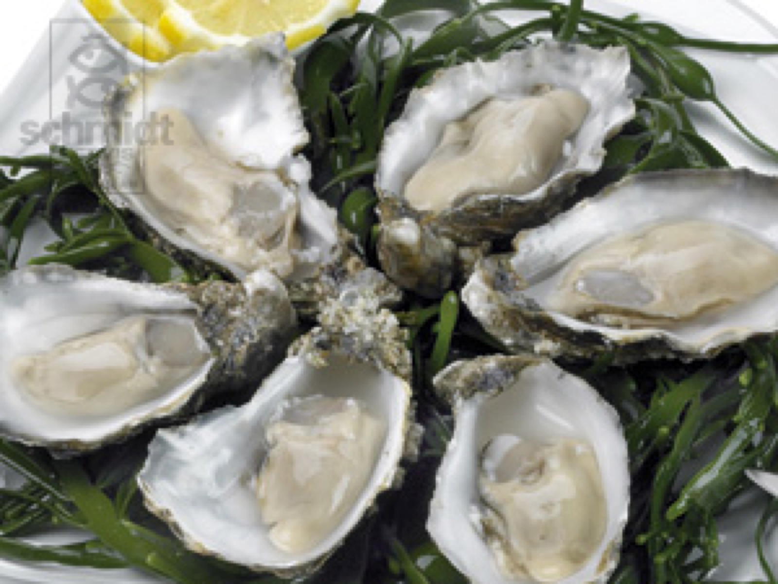 Oesters creuses nr3 Gillardeau