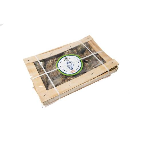 Oesters Creuses de Normande 3ooo 24st