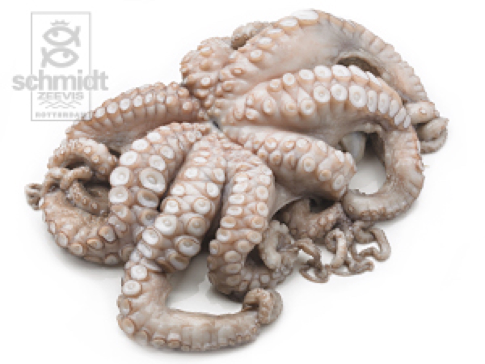 Octopus tentakels gekookt 100/200
