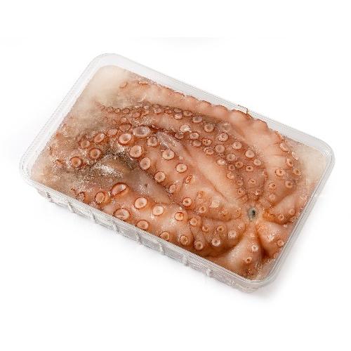 Octopus Spaans 1-2 kg schoon