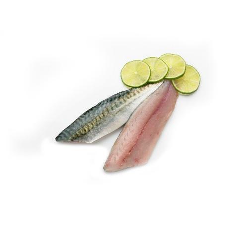 Makreelfilet vers zonder vel, zonder graat