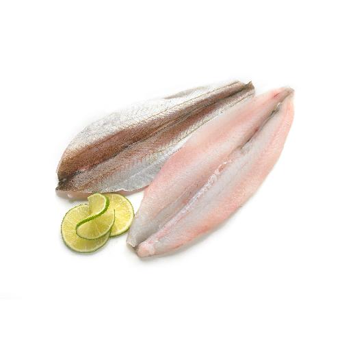 Wijtingfilet met vel geschubt