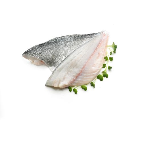 Dorade royal filet